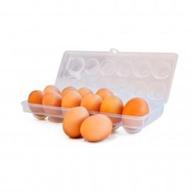Porta Ovos para 12 Unidades Plástico -PLASVALE